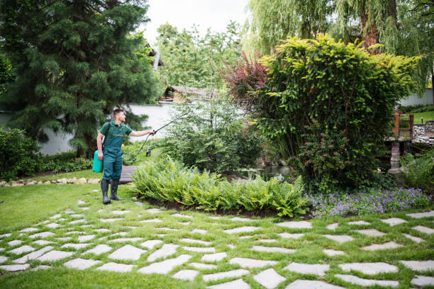 Best Pest Inspection Near Me  in Lake Lorraine, FL