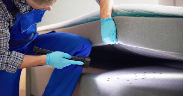 Best Pest Control for Homes  in Lake Lorraine, FL