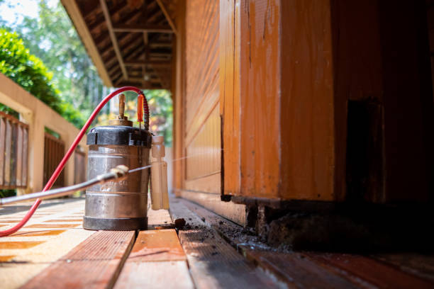 Best Local Pest Control Services  in Lake Lorraine, FL