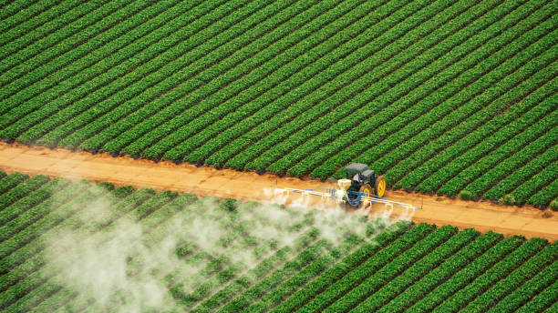 Best Cockroach Control Services  in Lake Lorraine, FL