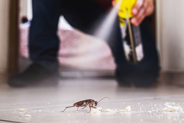 Best Cockroach Control Services  in Lake Lorraine, FL