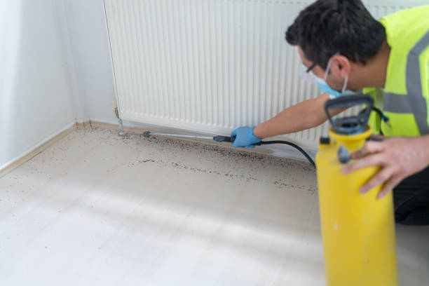Best Best Pest Control Near Me  in Lake Lorraine, FL